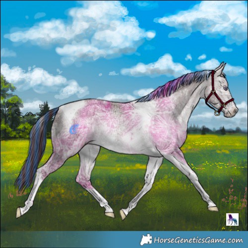 Horse Color:Painted Chocolate Bay Chinchilla Ice Tobiano 