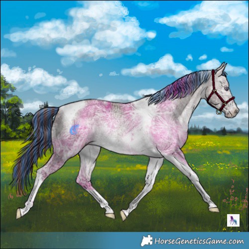 Horse Color:Painted Chocolate Bay Chinchilla Ice Tobiano 