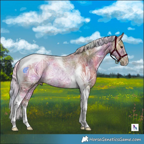 Horse Color:Nacre Chocolate Silver Bay Ice Tobiano Rabicano 
