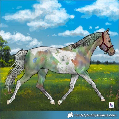 Horse Color:Nacre Silver Brown Dun Tobiano Rabicano 