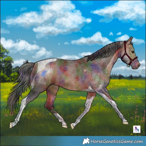 Horse Color:Nacre Bay Tobiano Rabicano 