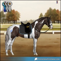Horse Color:Liver Chestnut Sabino Tobiano