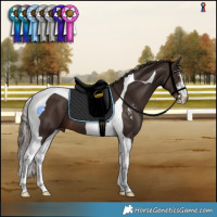 Horse Color:Liver Chestnut Sabino Tobiano 
