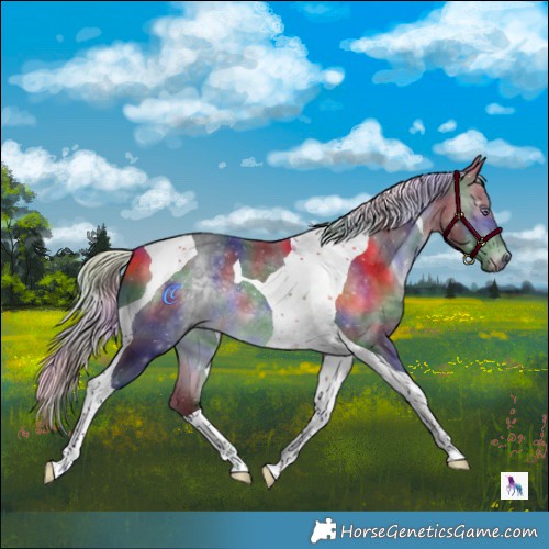 Horse Color:Nacre Silver Brown Chinchilla Tobiano 