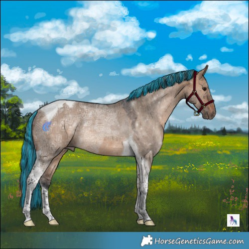 Horse Color:Painted Brown Ice Dun Tobiano Rabicano 