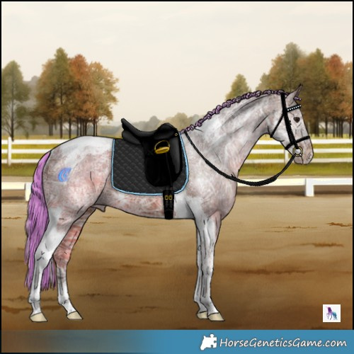 Horse Color:Painted Silver Brown Ice Tobiano Rabicano 