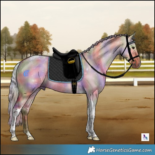 Horse Color:Nacre Chocolate Silver Bay Dun Tobiano Rabicano 