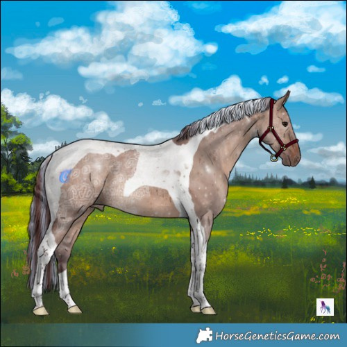 Horse Color:Painted Chocolate Brown Ice Dun Tobiano Rabicano 