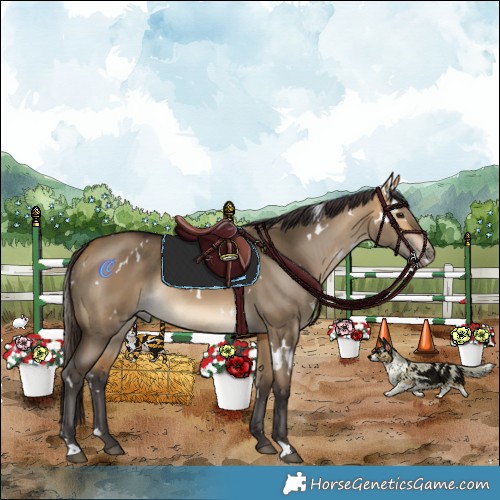 Horse Color:White Spotted Buckskin Dun Rabicano 