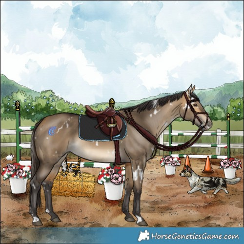 Horse Color:White Spotted Buckskin Dun Rabicano