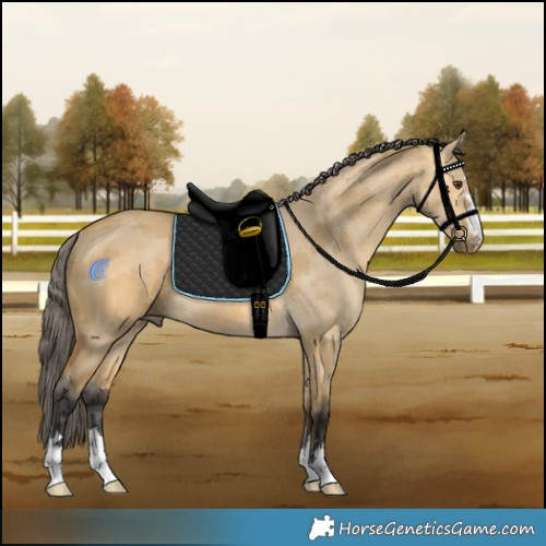 Horse Color:Buckskin Dun Merle 