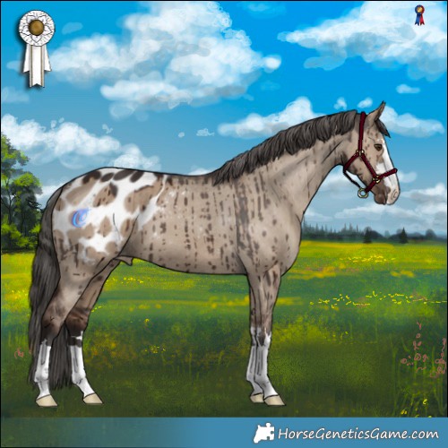 Horse Color:Liver Red Dun Varnish Brindle 