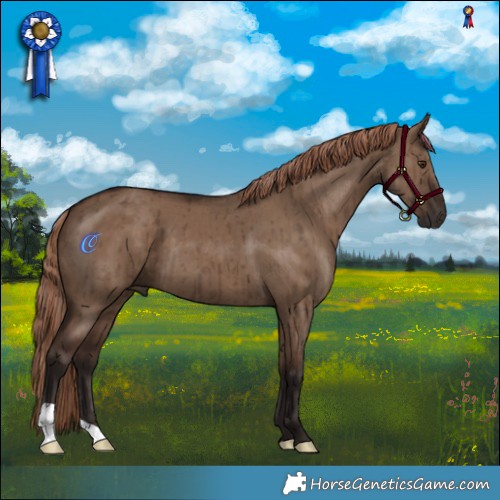 Horse Color:Liver Red Dun Brindle