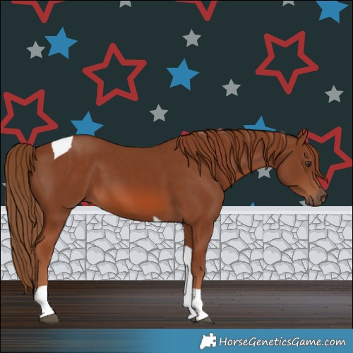Horse Color:Chestnut Tobiano 