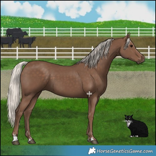 Horse Color:Silver Black 