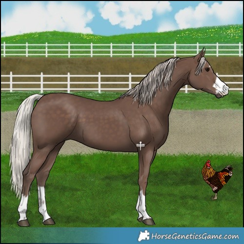 Horse Color:Silver Black 