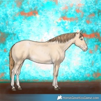Horse Color:Buckskin 