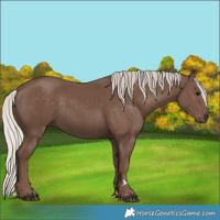 Horse Color:Silver Black 