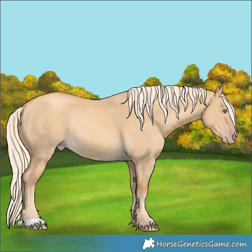 Horse Color:Gold Cream Champagne Dun Rabicano 