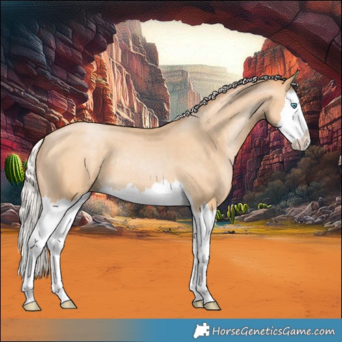 Horse Color:Silver Buckskin Pearl Splash 