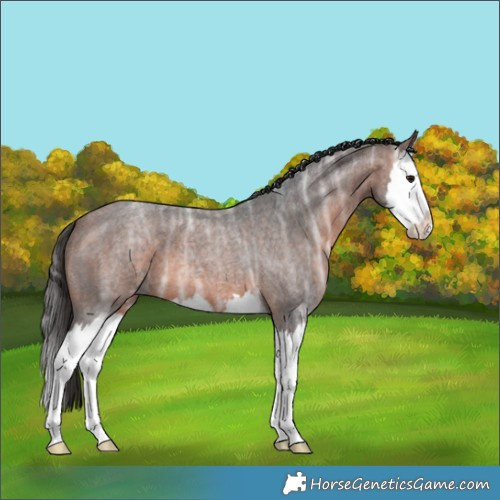 Horse Color:Brown Ice Roan Splash