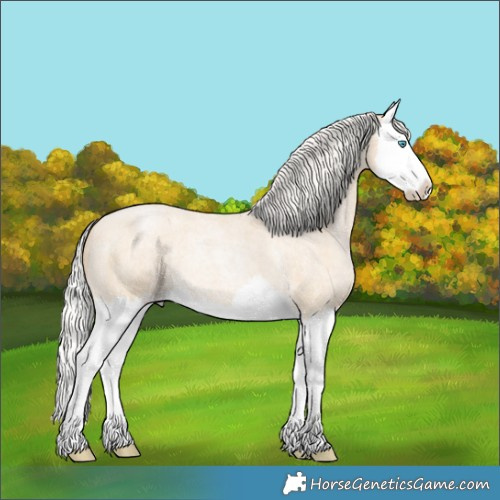 Horse Color:Silver Smoky Blue Roan Pearl Splash 