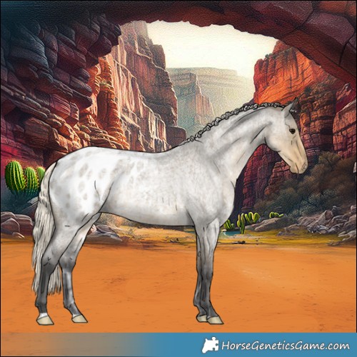 Horse Color:Silver Smoky Grullo Ice Roan Blanket