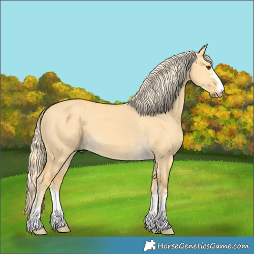Horse Color:Palomino Dun 