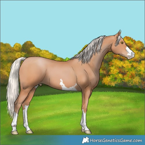 Horse Color:Silver Bay Pearl 
