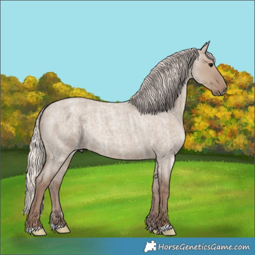 Horse Color:Silver Grullo Ice Roan 