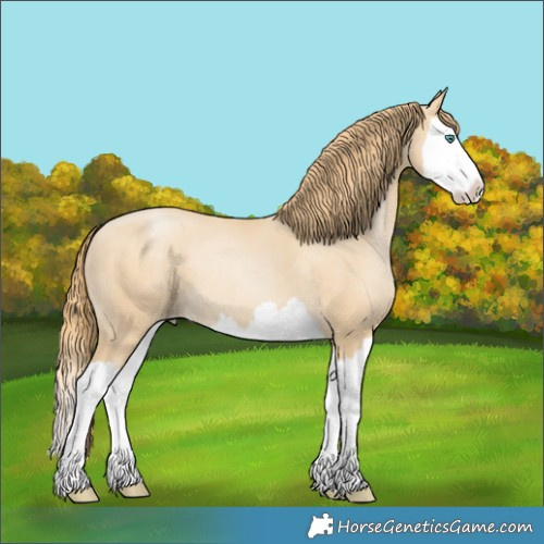 Horse Color:Smoky Black Pearl Splash 