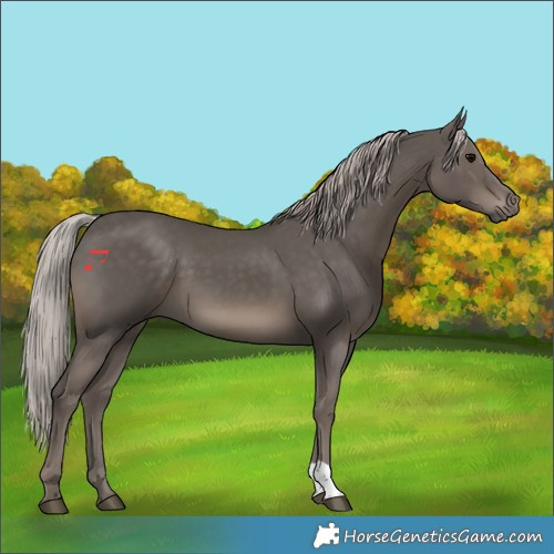 Horse Color:Silver Black 