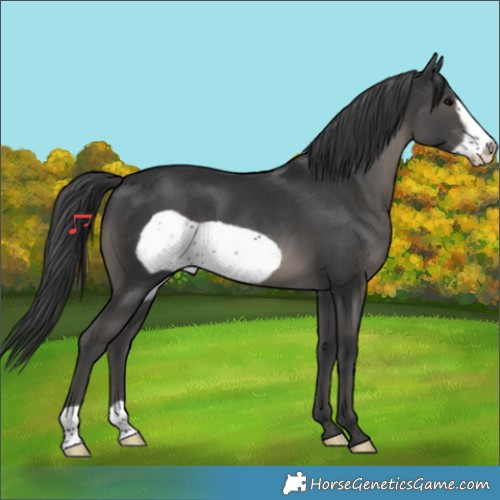 Horse Color:Black Frame