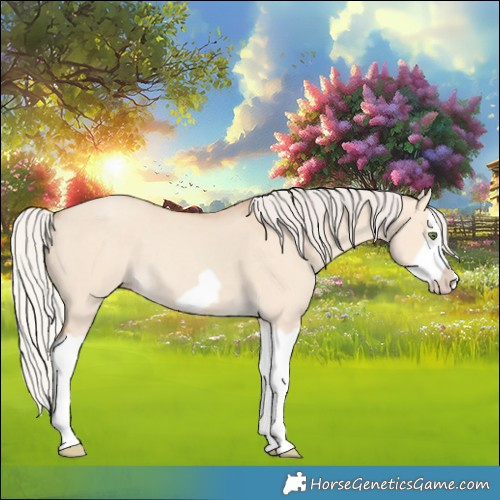 Horse Color:Silver Classic Champagne Dun Splash Frame 