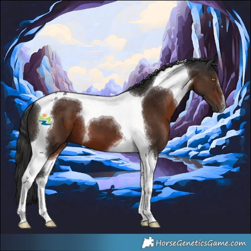 Horse Color:Gray Liver Chestnut Tobiano 