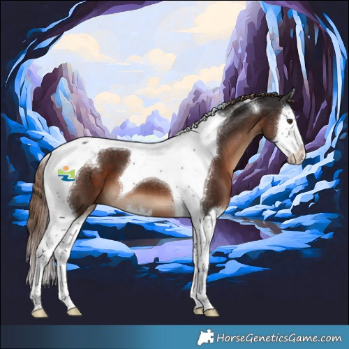 Horse Color:Liver Chestnut Splash Tobiano 