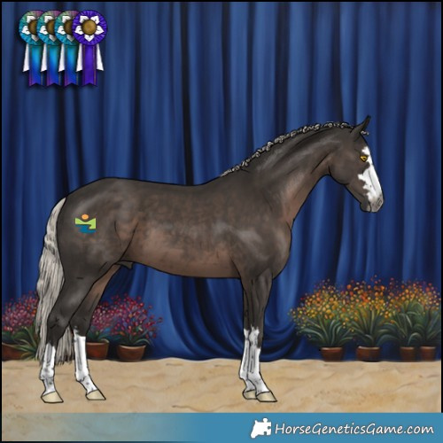 Horse Color:Gray Silver Black 