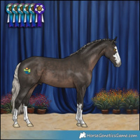 Horse Color:Gray Silver Black 