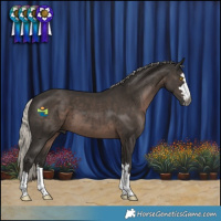 Horse Color:Gray Silver Black 