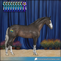 Horse Color:Gray Silver Black