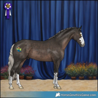 Horse Color:Gray Silver Black 