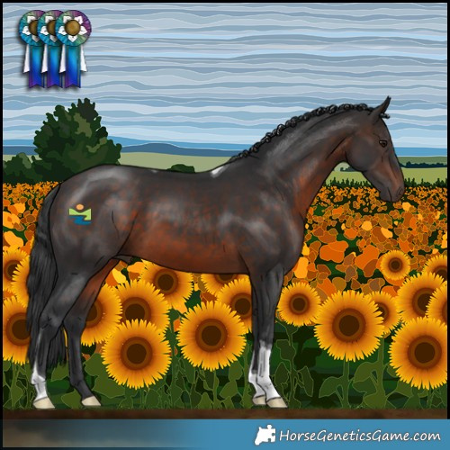 Horse Color:Brown Tobiano 
