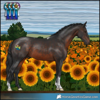 Horse Color:Brown Tobiano 