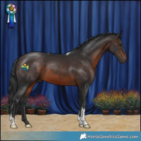 Horse Color:Brown Tobiano