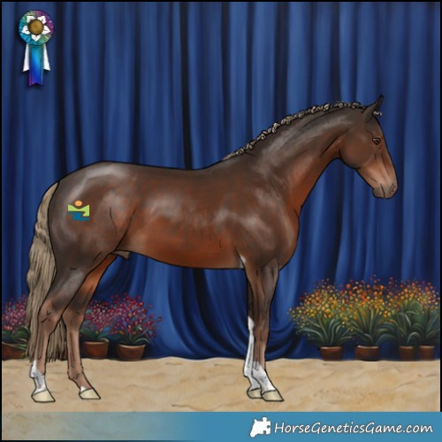 Horse Color:Liver Chestnut Tobiano