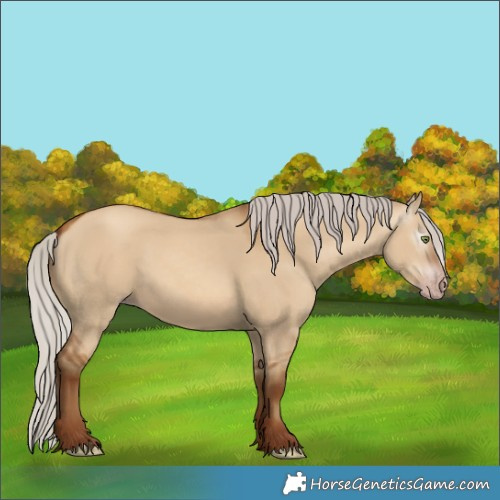 Horse Color:Gray Silver Amber Champagne Dun 