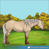 Horse Color:Gray Silver Amber Champagne Dun 