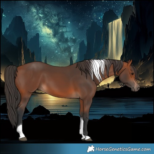 Horse Color:Bay Tobiano