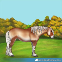 Horse Color:Silver Bay Onyx 