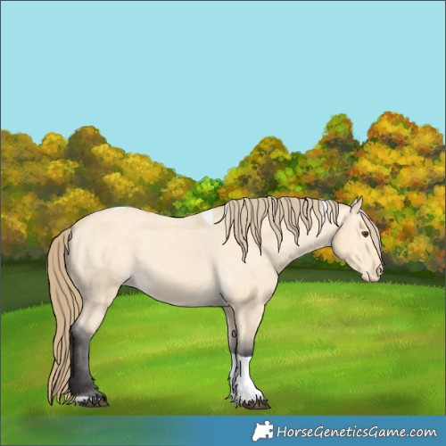 Horse Color:Buckskin Dun Tobiano Varnish